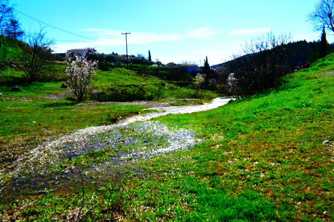 Oasis Of Calmnessε Villa Ardani Eksteriør bilde