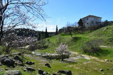 Oasis Of Calmnessε Villa Ardani Eksteriør bilde
